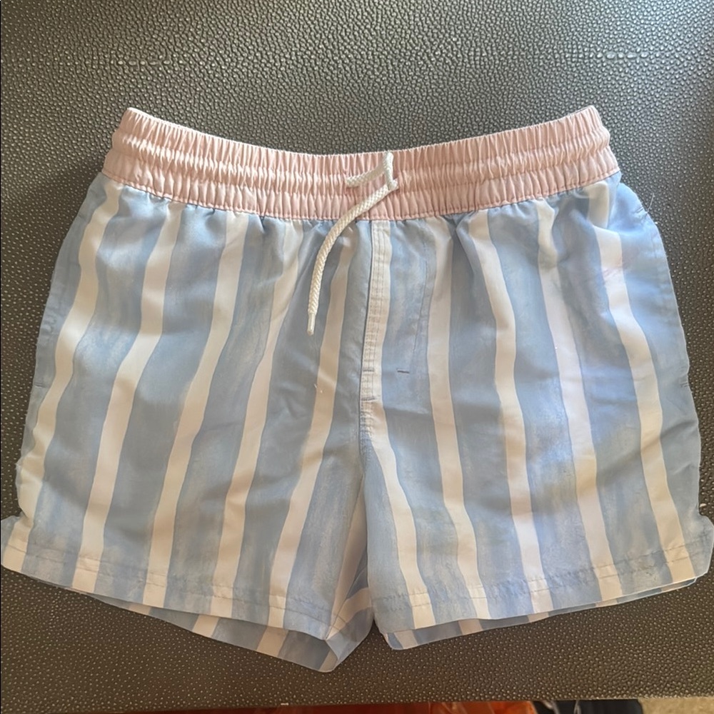 Striped Blue and Pink Women's Shorts